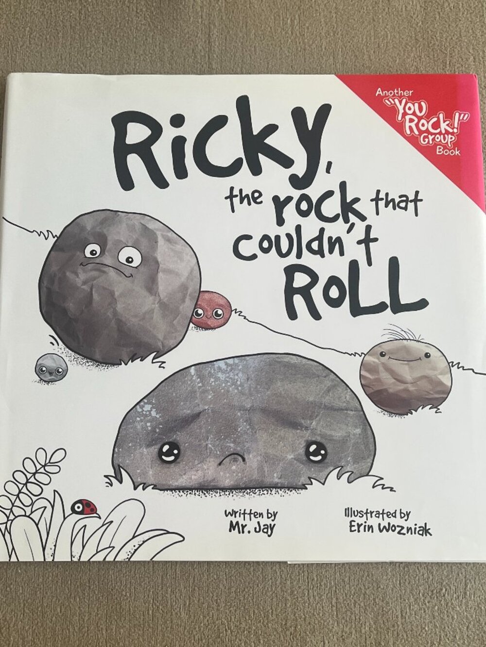 Ricky the Rock That Couldn't Roll Children's Book by Mr. Jay New